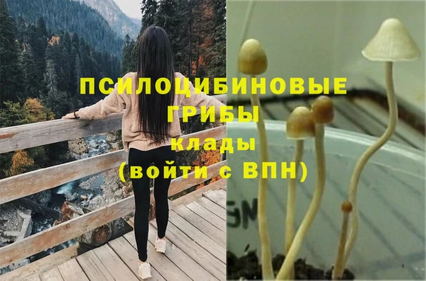 MDMA Premium VHQ Армянск